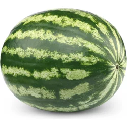 Yellow Watermelon Melon