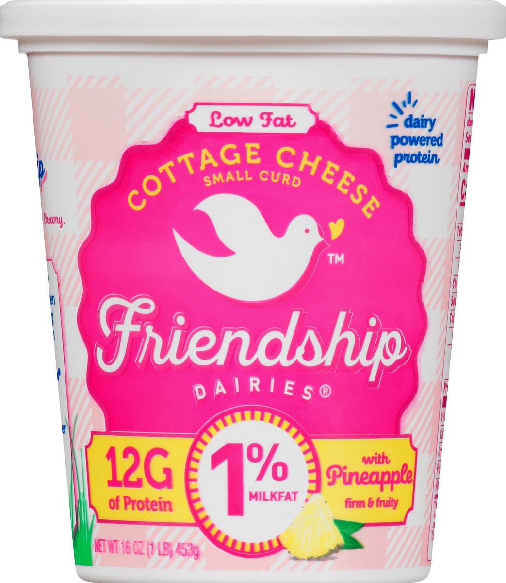 slide 1 of 9, Friendship Dairies Low Fat 1% Milkfat Small Curd with Pineapple Cottage Cheese 16 oz, 16 oz