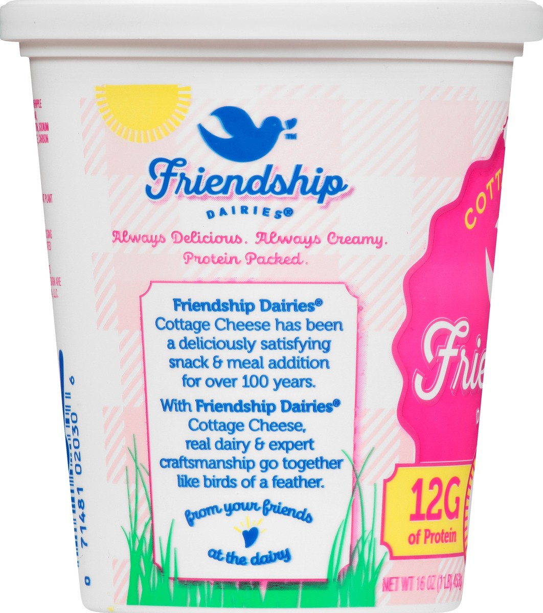 slide 6 of 9, Friendship Dairies Low Fat 1% Milkfat Small Curd with Pineapple Cottage Cheese 16 oz, 16 oz