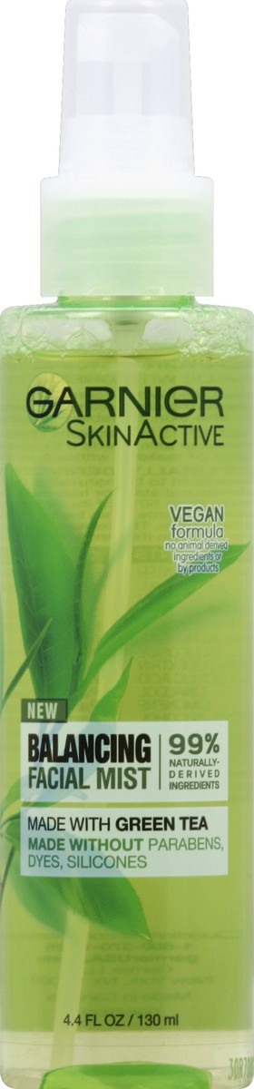 slide 2 of 2, Garnier SkinActive Balancing Facial Mist with Green Tea, 4.4 fl oz