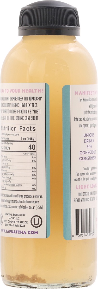 slide 8 of 9, Island City Kombucha Blueberry Kombucha 16 fl oz, 16 fl oz