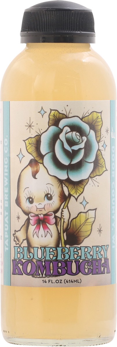 slide 2 of 9, Island City Kombucha Blueberry Kombucha 16 fl oz, 16 fl oz
