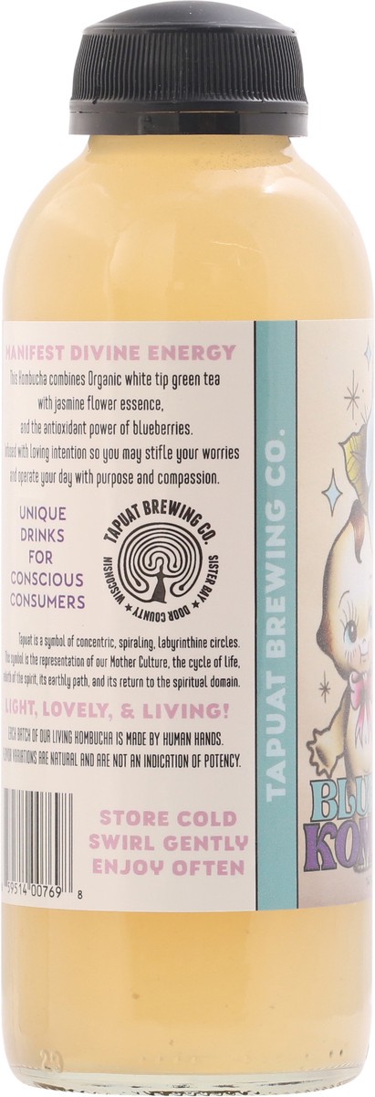 slide 9 of 9, Island City Kombucha Blueberry Kombucha 16 fl oz, 16 fl oz