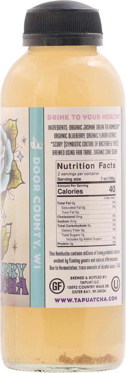 slide 7 of 9, Island City Kombucha Blueberry Kombucha 16 fl oz, 16 fl oz