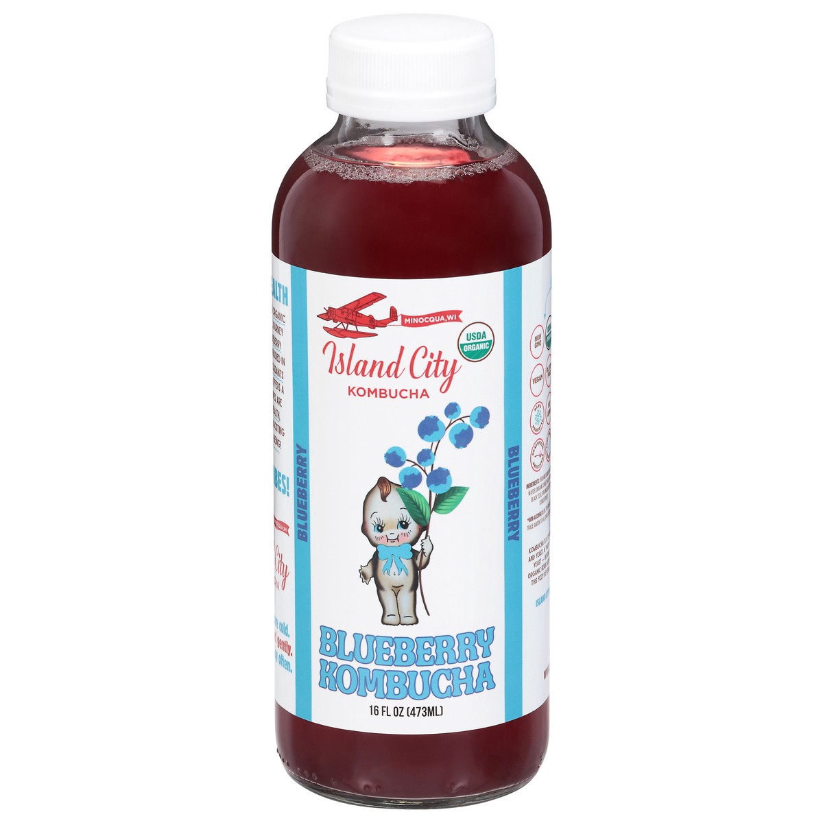 slide 1 of 9, Island City Kombucha Blueberry Kombucha 16 fl oz, 16 fl oz
