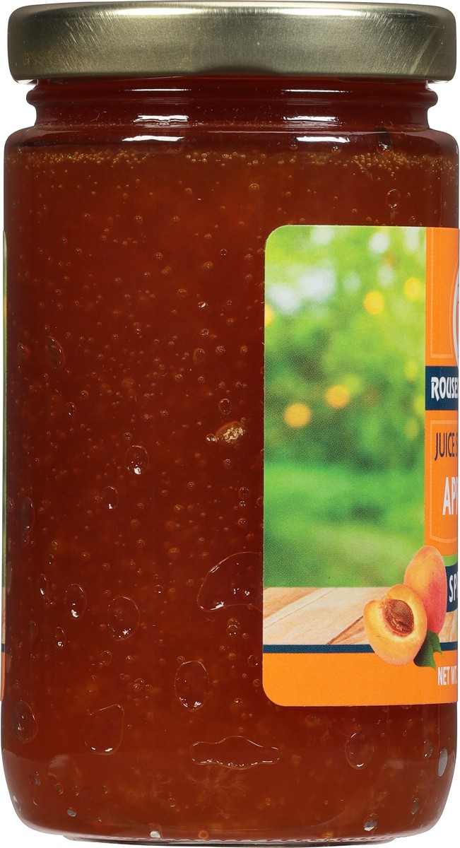 slide 8 of 11, Rouses Markets Apricot Spread 10 oz, 10 oz