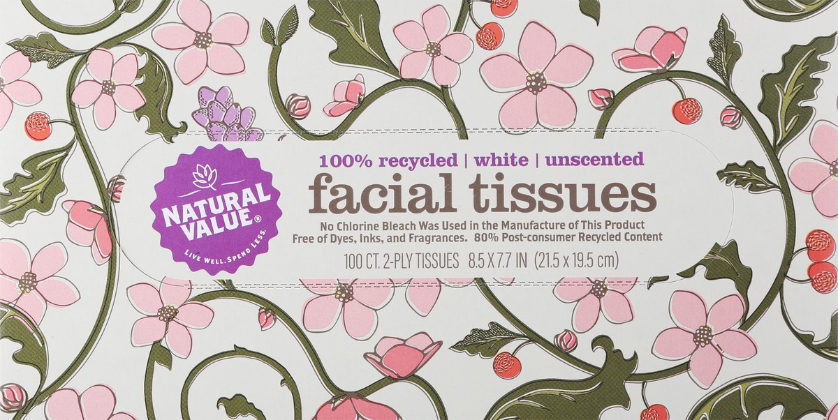 slide 3 of 11, Natural Value 2-Ply White Unscented Facial Tissues 100 ea, 100 ct