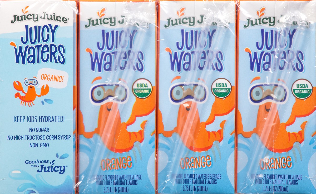 slide 4 of 13, Juicy Juice Orange Juicy Waters - 54 fl oz, 54 fl oz