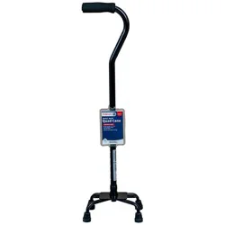 Walgreens Quad Cane