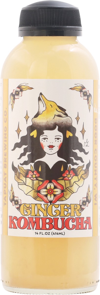 slide 5 of 9, Island City Kombucha Ginger Kombucha 16 fl oz, 16 fl oz