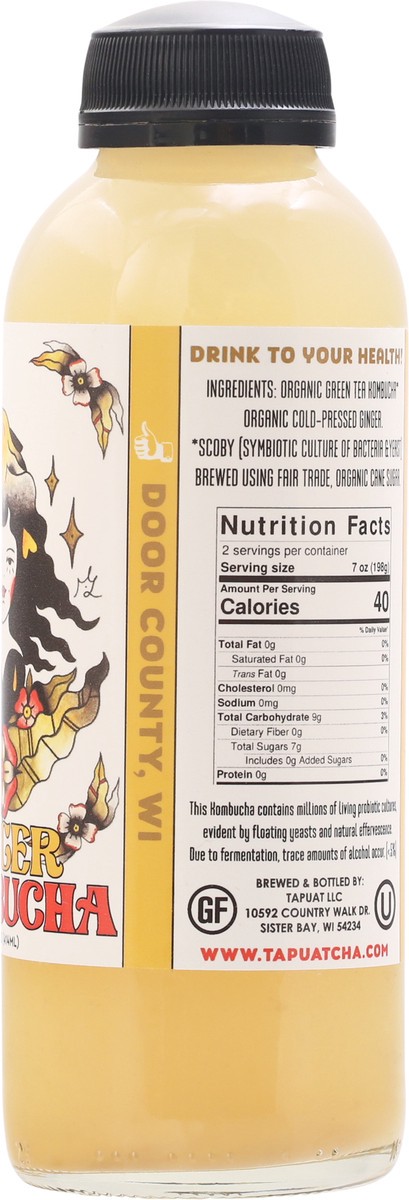 slide 4 of 9, Island City Kombucha Ginger Kombucha 16 fl oz, 16 fl oz