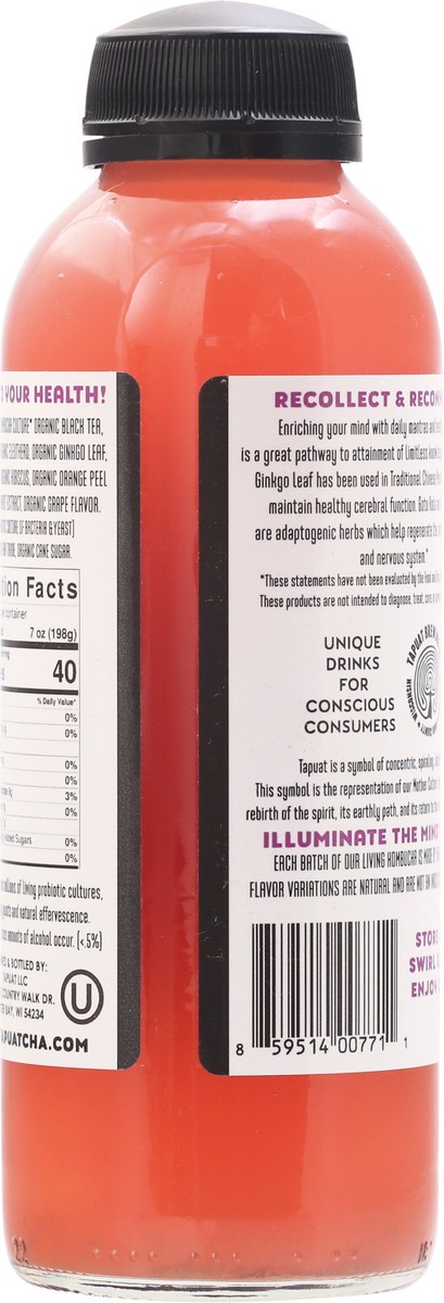 slide 3 of 9, Island City Kombucha Grape Memory Kombucha 16 fl oz, 16 fl oz