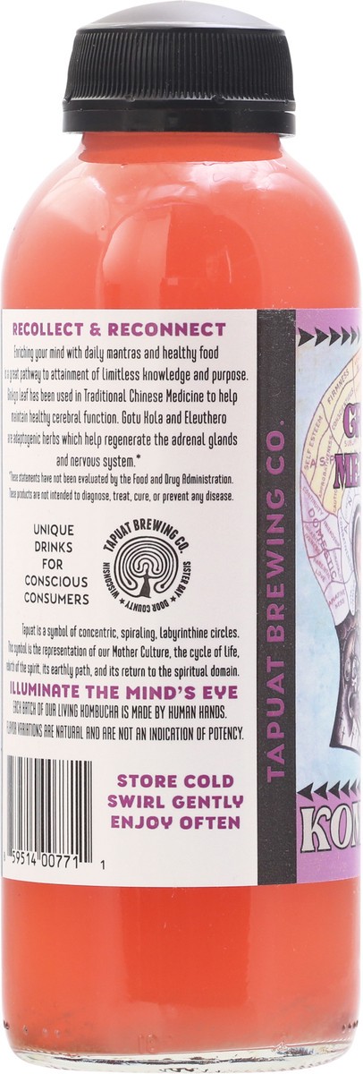 slide 4 of 9, Island City Kombucha Grape Memory Kombucha 16 fl oz, 16 fl oz
