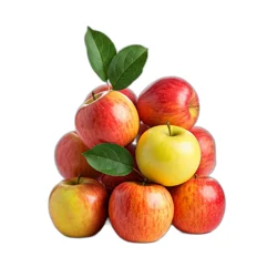 Organic Gala Apple Pouch Bag