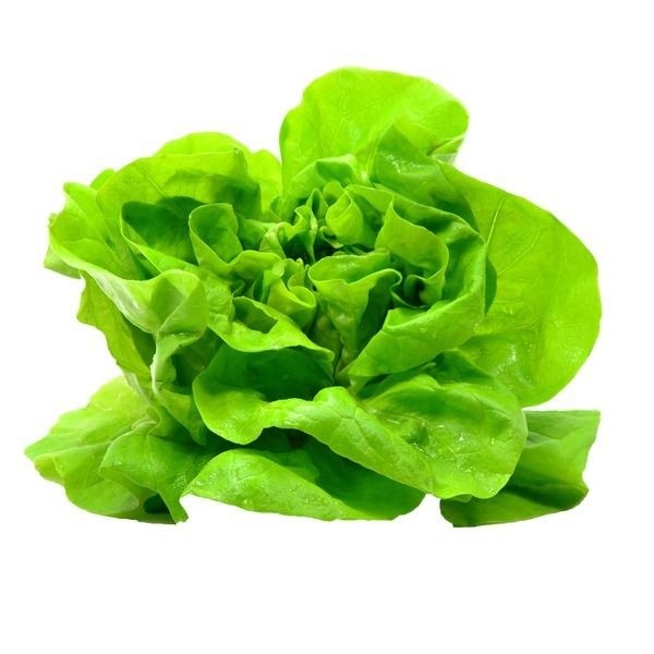 slide 1 of 1, Green Leaf Lettuce - Each, 1 ct