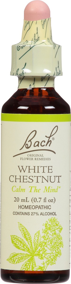 slide 6 of 9, Bach Original Flower Remedies White Chestnut 0.7 fl oz, 0.7 fl oz