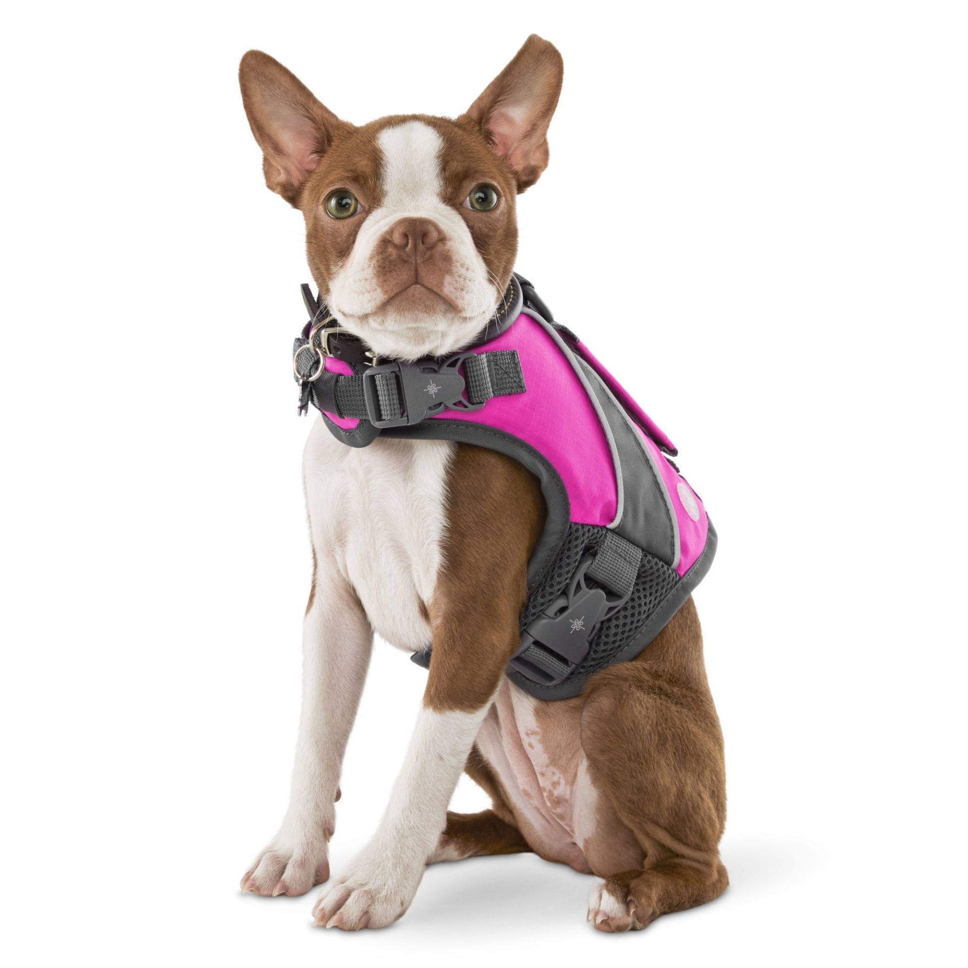 slide 1 of 1, Good2Go Pink Dog Flotation Vest, MED