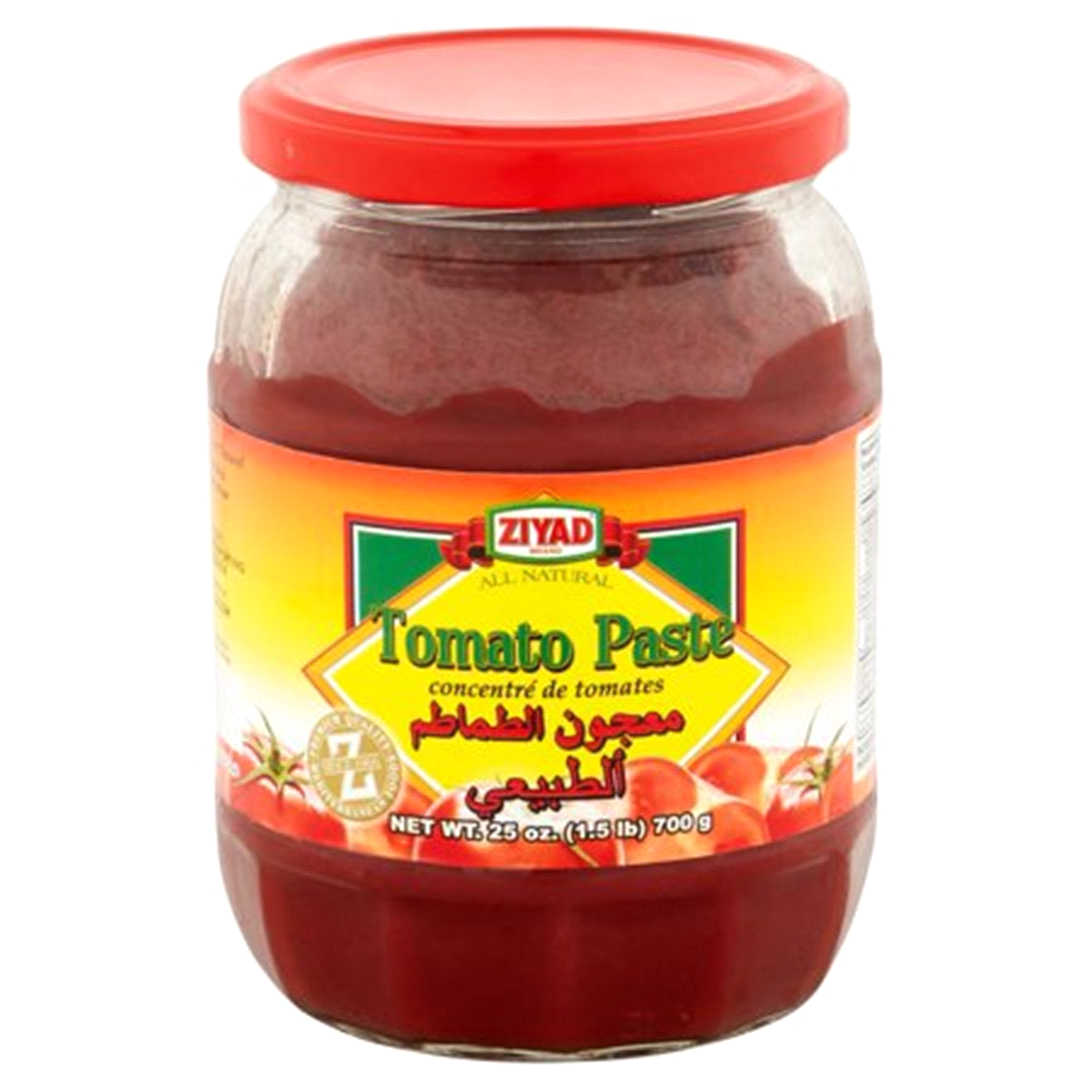 slide 1 of 1, Ziyad Premium Tomato Paste 25 oz, 25 oz