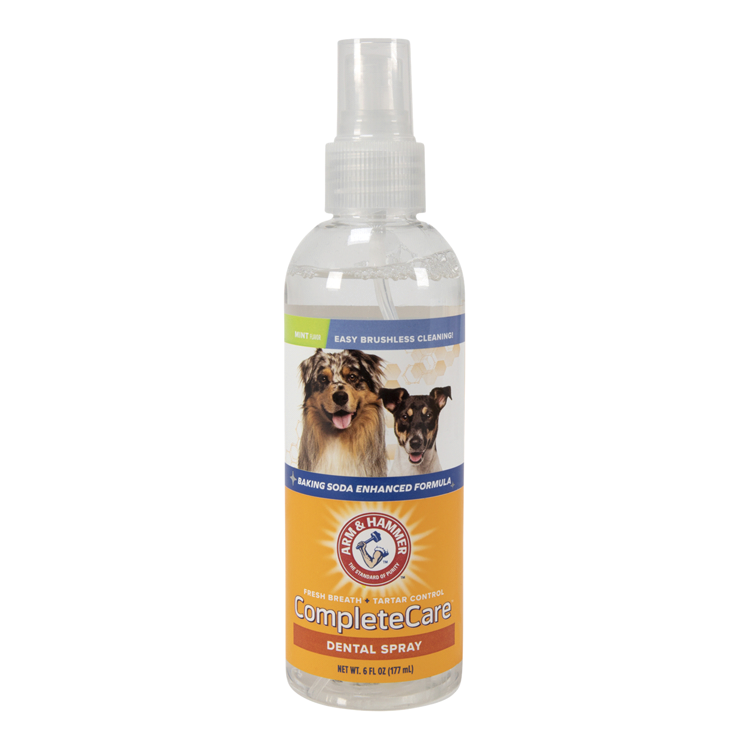 slide 1 of 2, ARM & HAMMER Complete Care Mint Flavor Dog Dental Spray, 6 fl oz