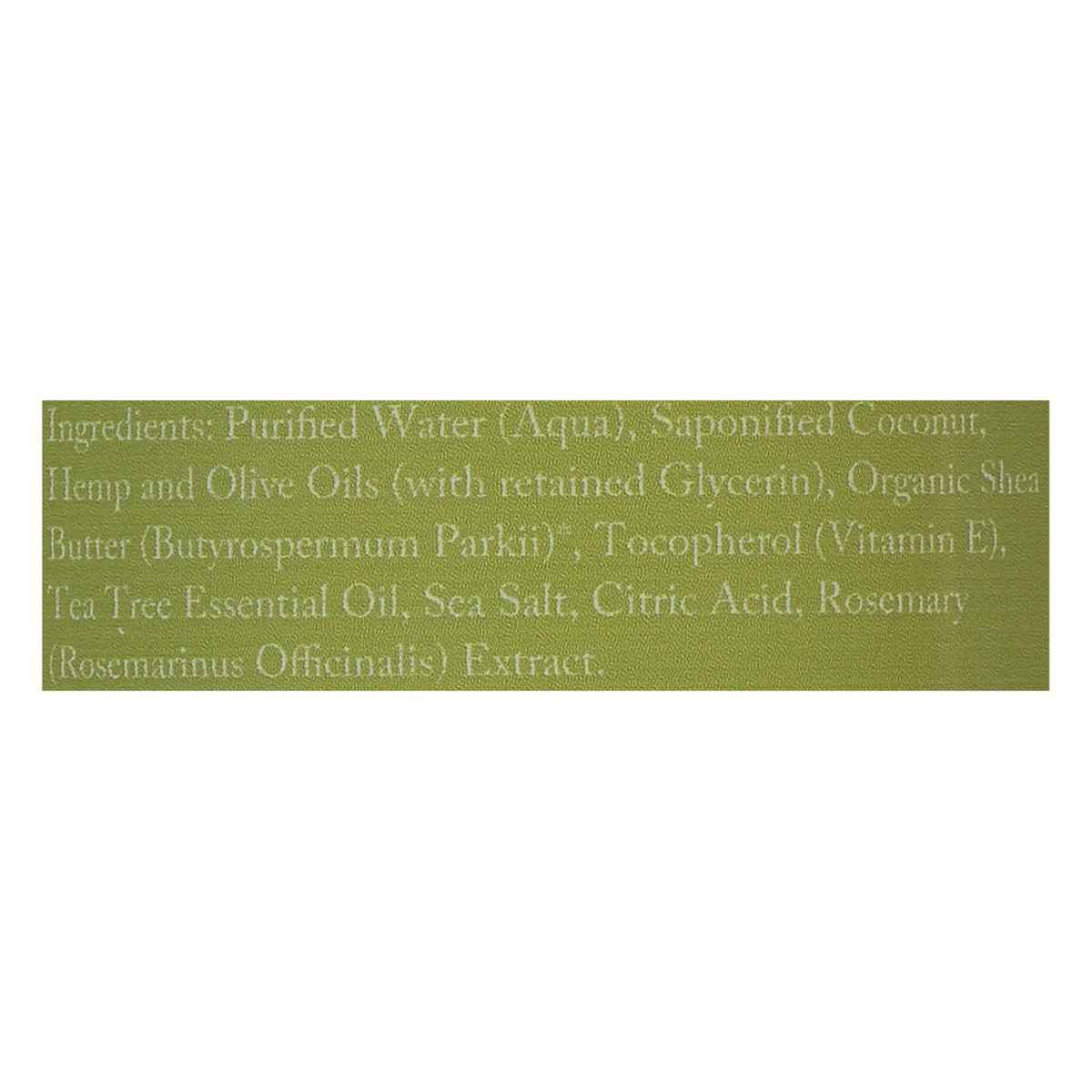 slide 4 of 10, Dr. Woods Tea Tree Castile Soap 8 fl oz, 8 fl oz