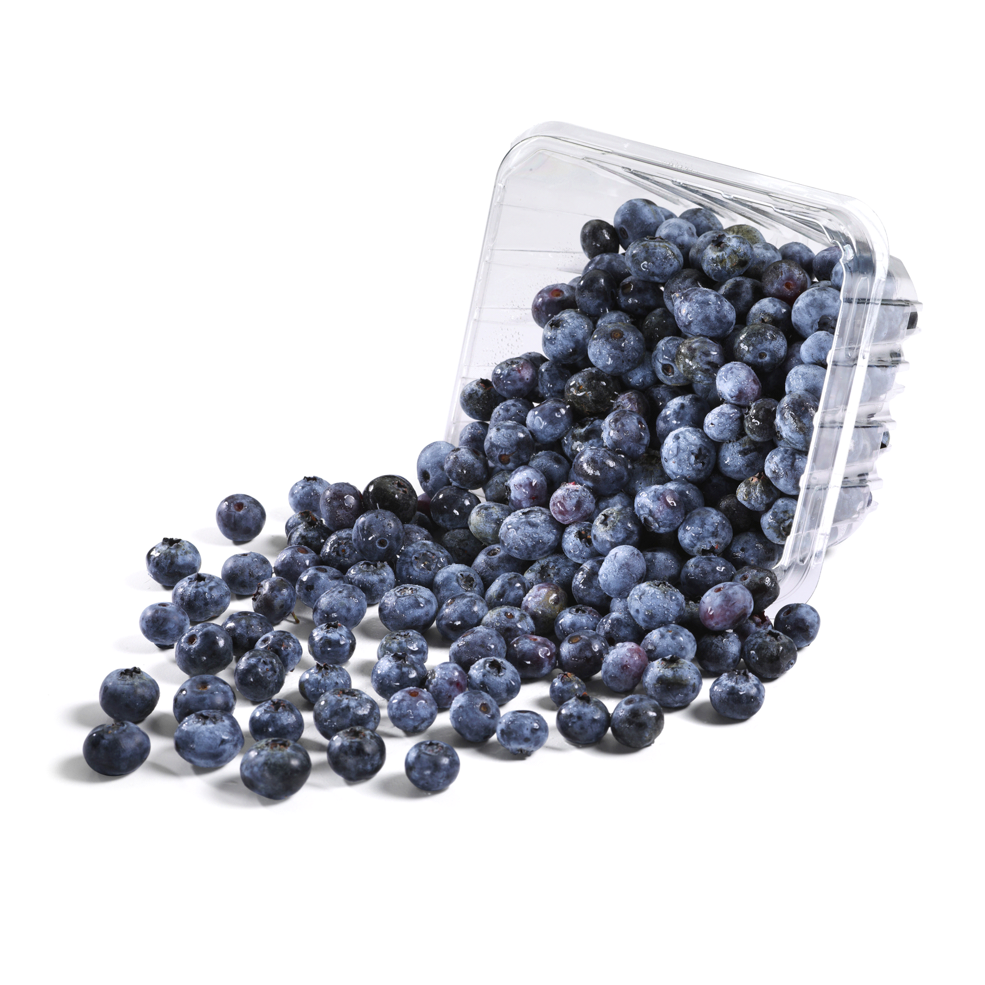 slide 1 of 1, PCC Organic Local Blueberries, 2 lb