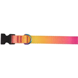Top Paw Yellow & Pink Ombre Polyester Dog Collar