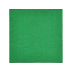 Meijer Forest Green Lunch Napkins