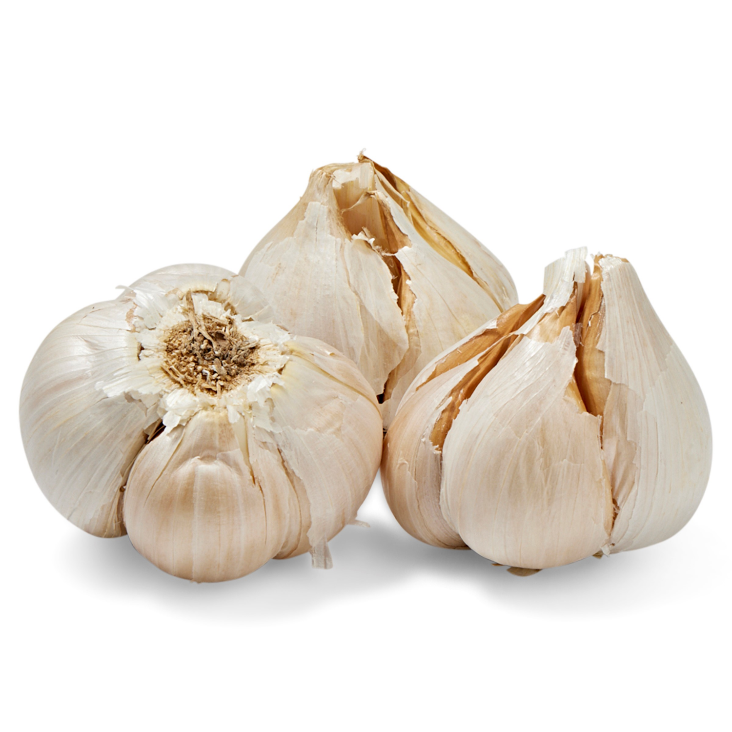 slide 2 of 2, Christopher Ranch Elephant Garlic, 1 ct