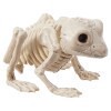 slide 4 of 5, Meijer Corporate Seasonal HWN Skeleton Mini Frog, 1 ct