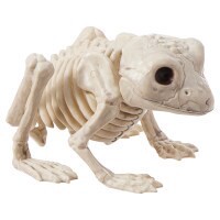 slide 5 of 5, Meijer Corporate Seasonal HWN Skeleton Mini Frog, 1 ct