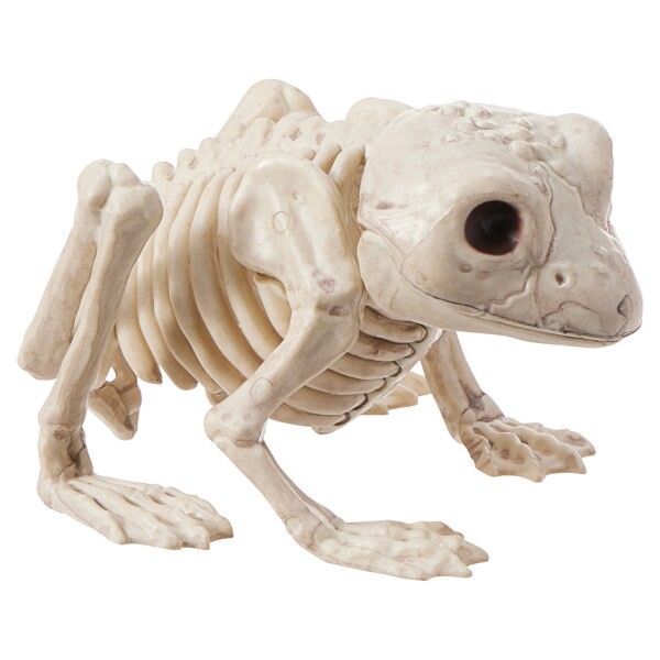 slide 3 of 5, Meijer Corporate Seasonal HWN Skeleton Mini Frog, 1 ct