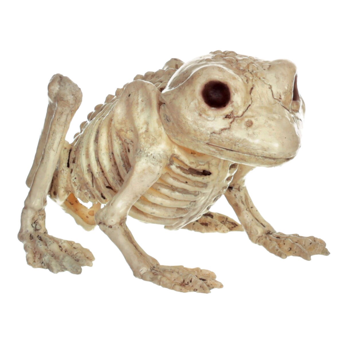 slide 1 of 5, Meijer Corporate Seasonal HWN Skeleton Mini Frog, 1 ct