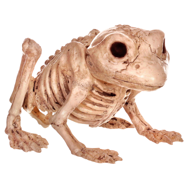 slide 1 of 5, Meijer Corporate Seasonal HWN Skeleton Mini Frog, 1 ct