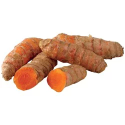Fresh Turmeric Root