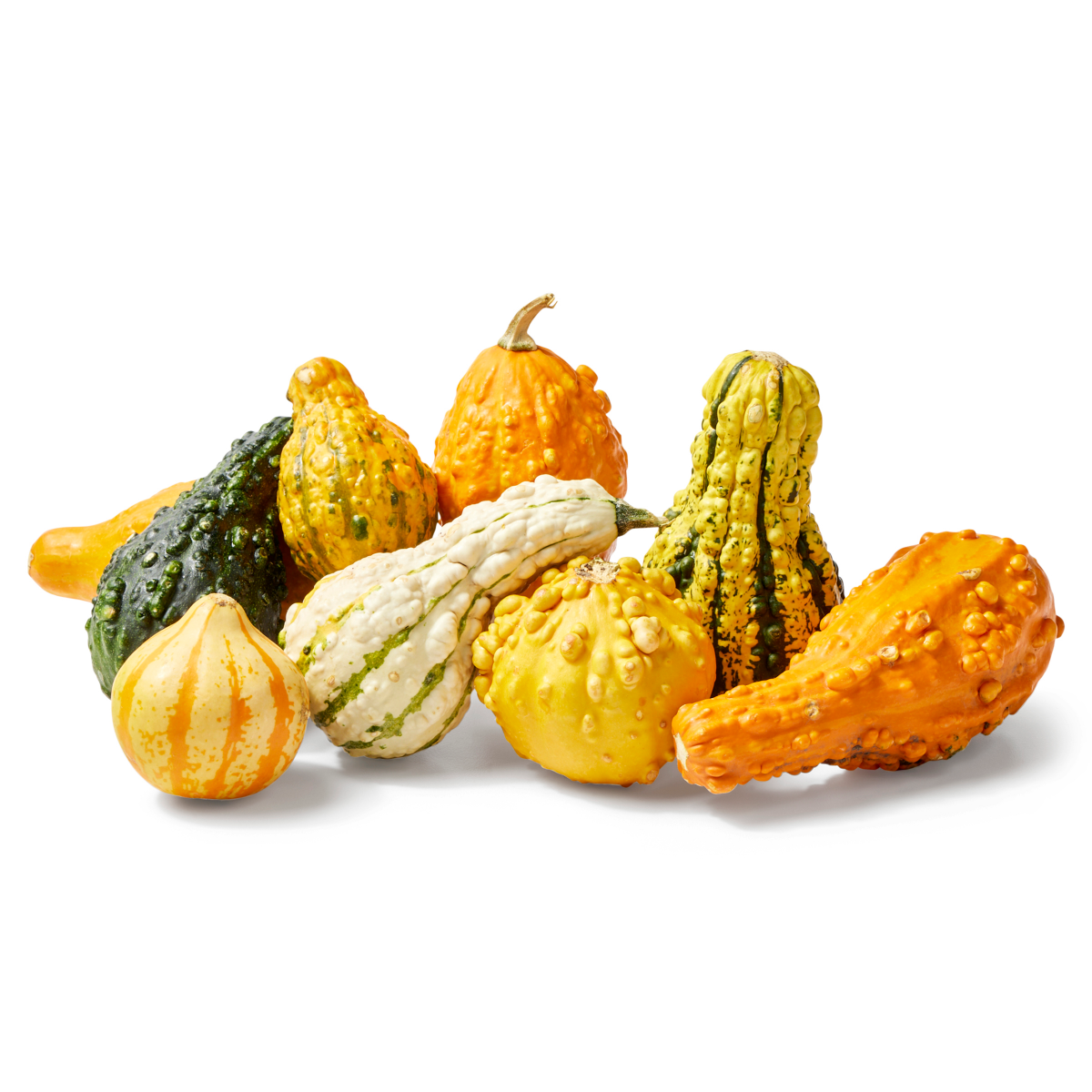 slide 2 of 2, Gourds, 10 ct, 10 ct