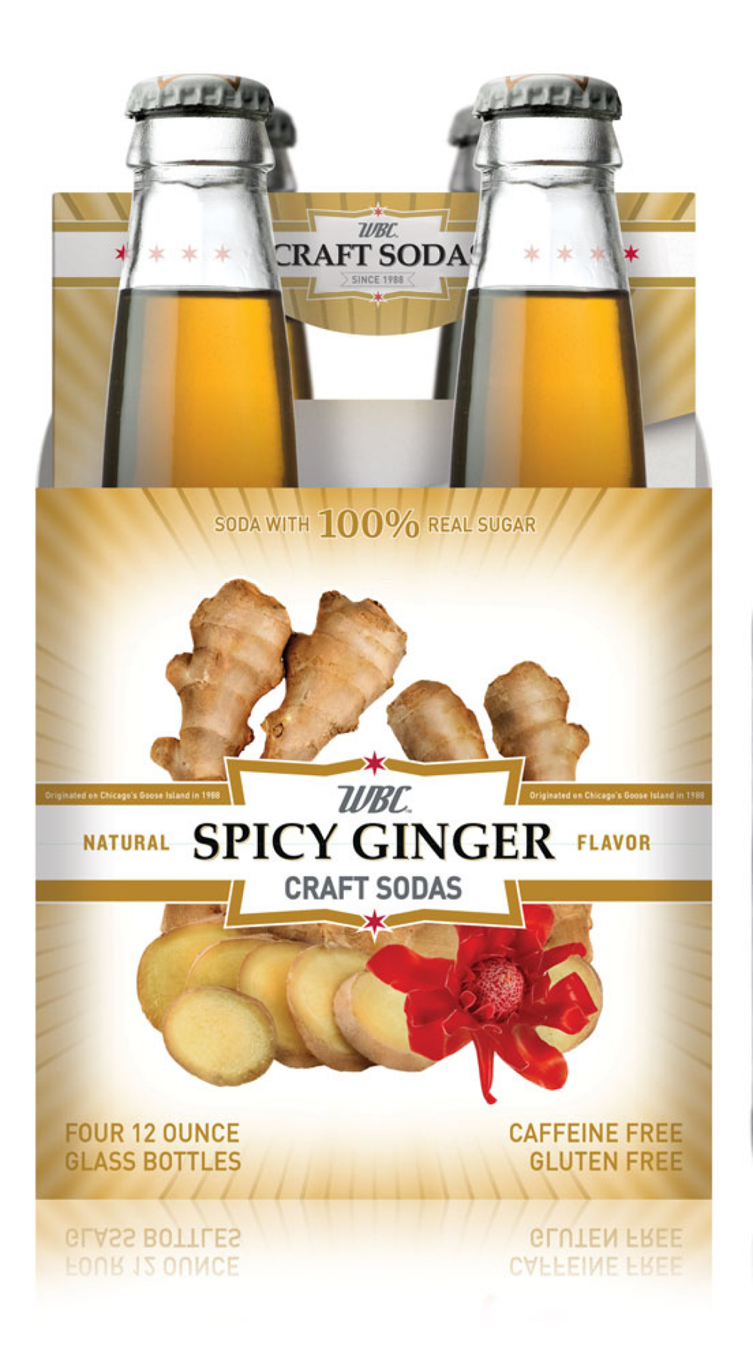 slide 1 of 1, WBC Spicy Ginger Craft Soda - 4 ct; 12 fl oz, 4 ct; 12 fl oz