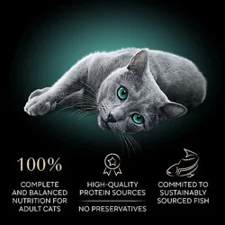 Sheba Perfect Portions Gourmet Salmon Entree Adult Wet Cat Food Cuts In Gravy - 2.6 Oz