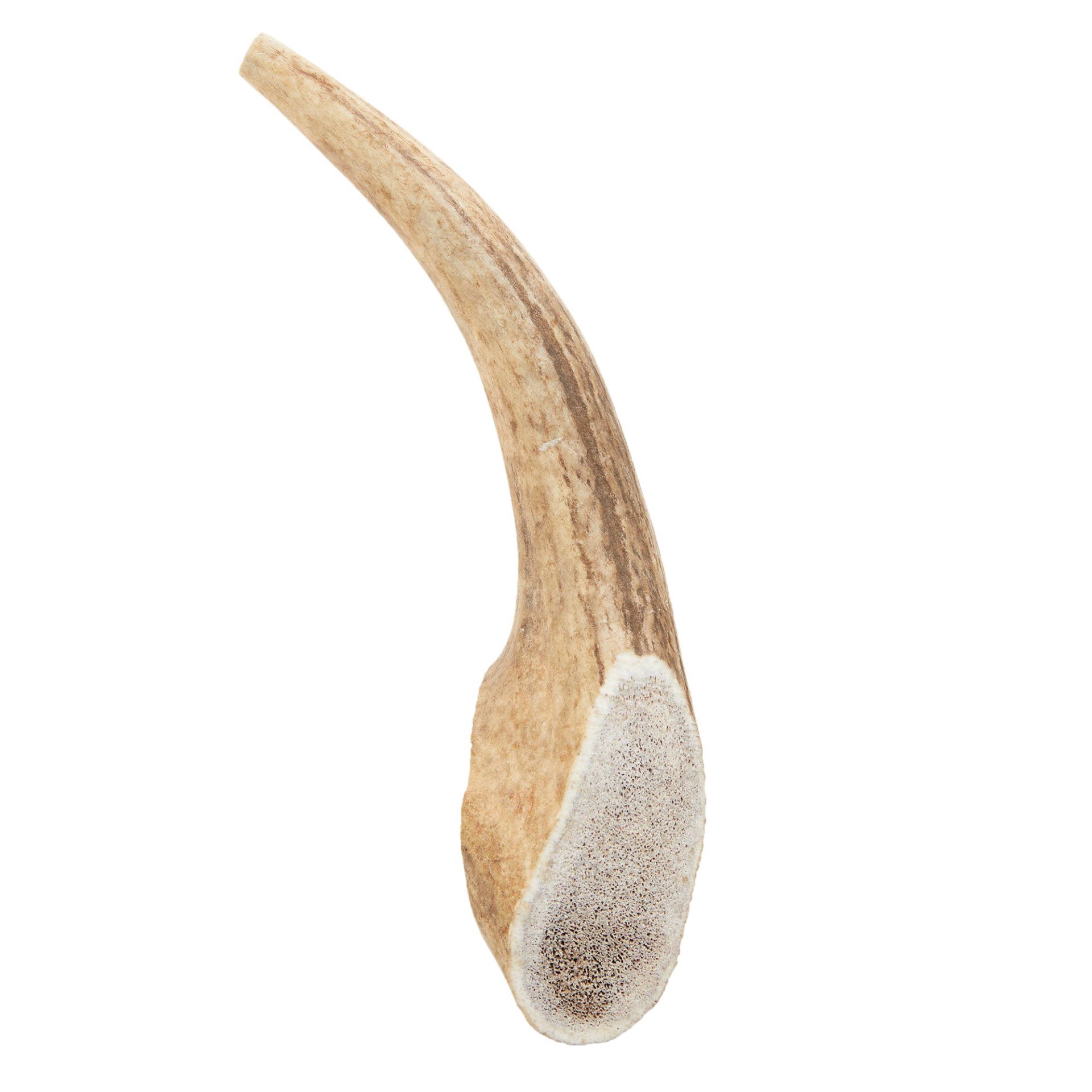 slide 1 of 1, Dentley's Nature's Chews Large Full Elk Antler Dog Chew, XL