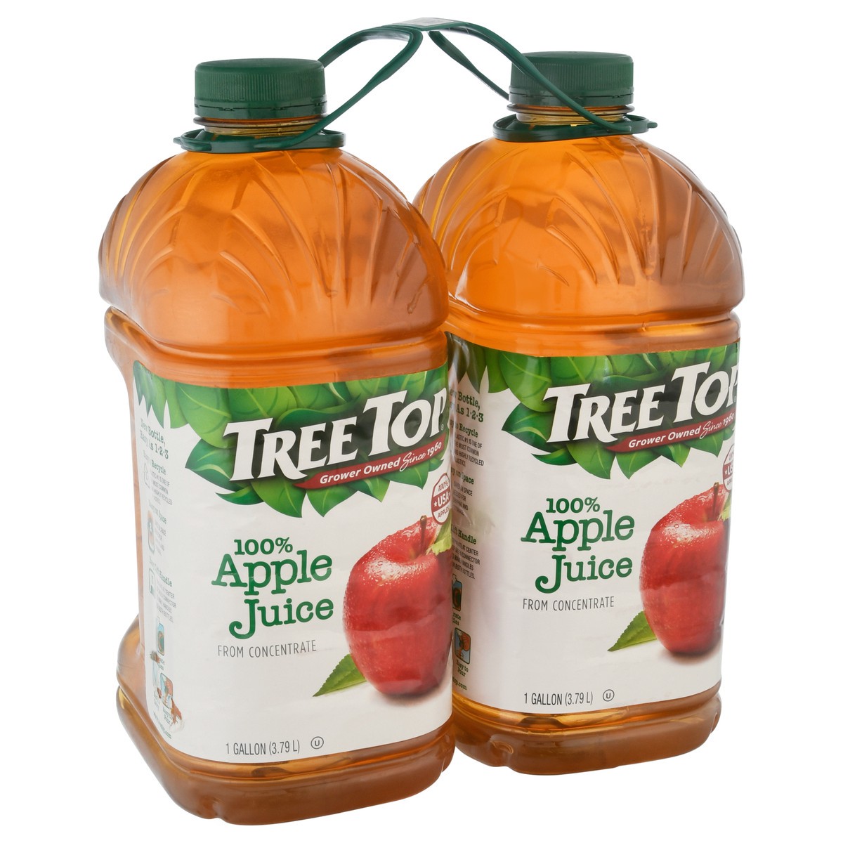 slide 4 of 12, Tree Top Apple 100% Juice 1 gal, 1 gal