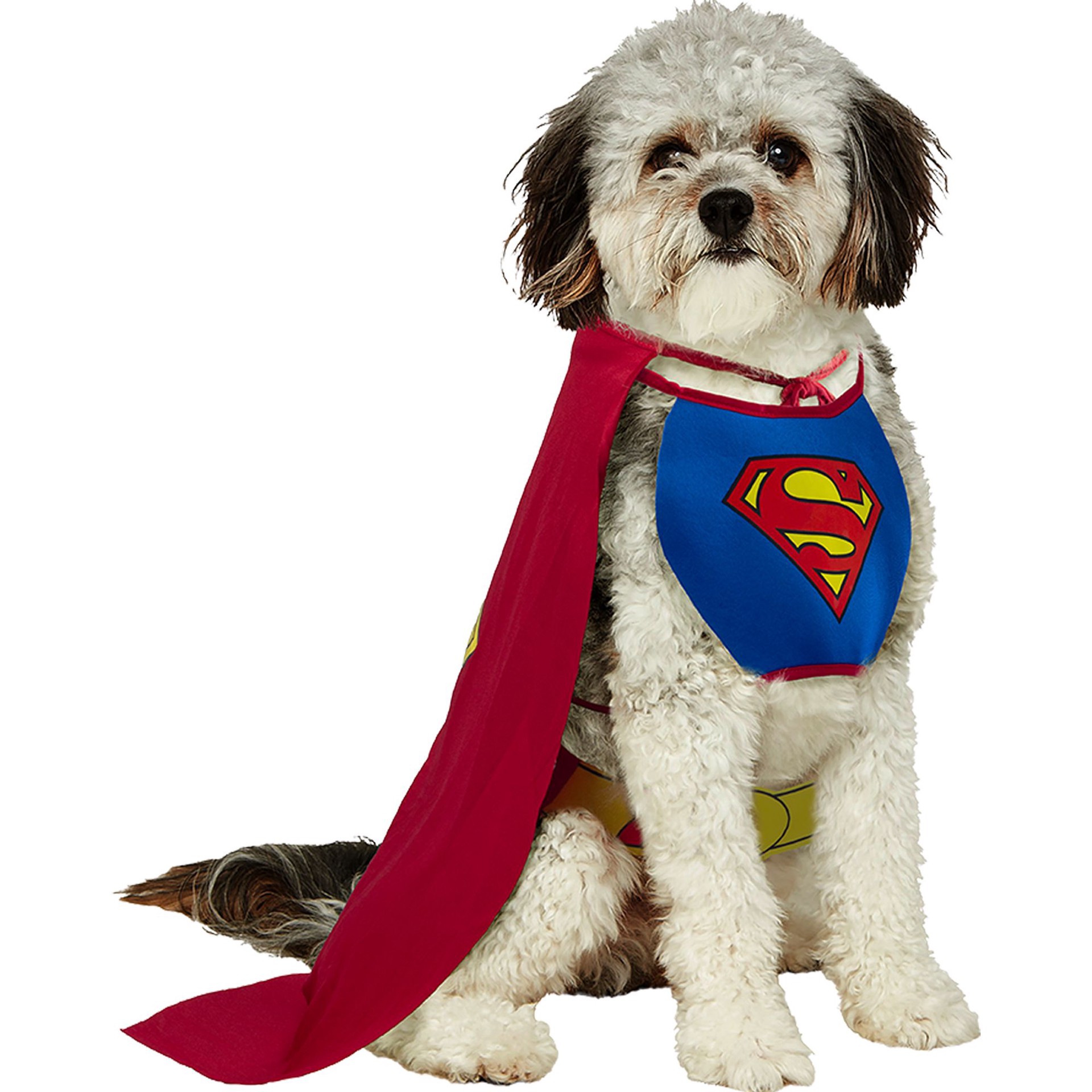 slide 1 of 1, Rubie's Costume Rubies Superman Pet Costume Cape, SM