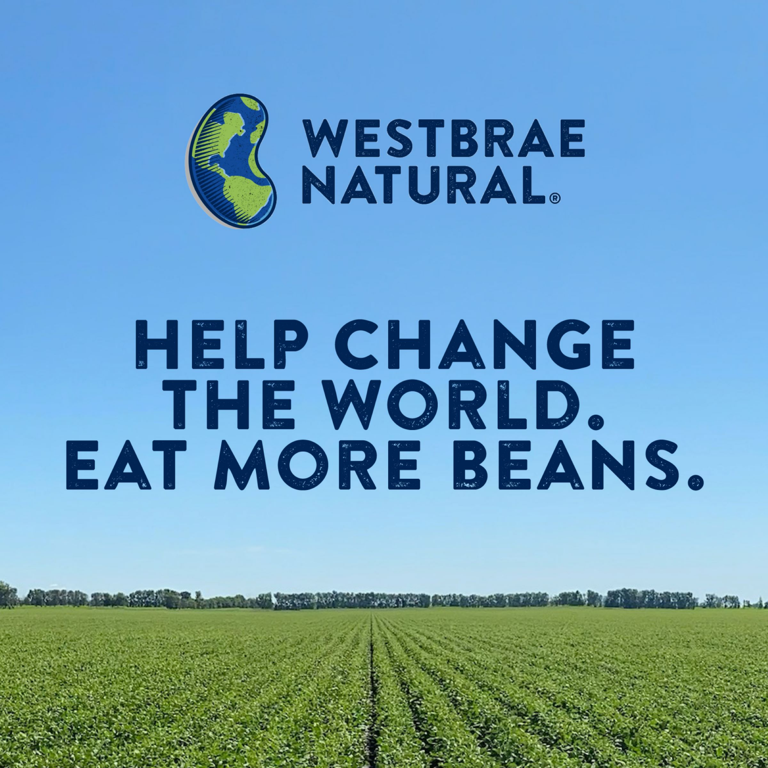 slide 4 of 8, Westbrae Natural Organic Lentil Beans, 15 oz