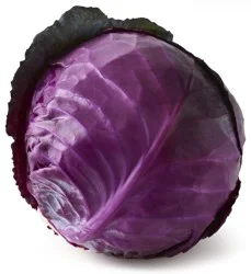Wild Harvest Organic Red Cabbage