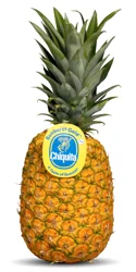 Chiquita Sunburst Gold Pineapple
