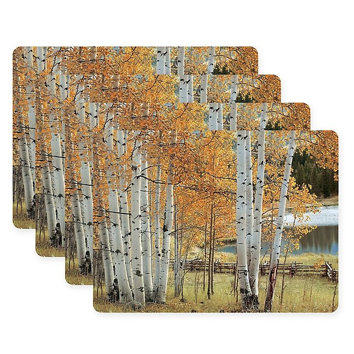 slide 1 of 1, Pimpernel Birch Beauty Placemats, 4 ct