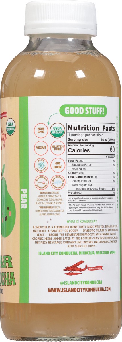 slide 4 of 13, Island City Kombucha Pear Kombucha 16 fl oz, 16 fl oz