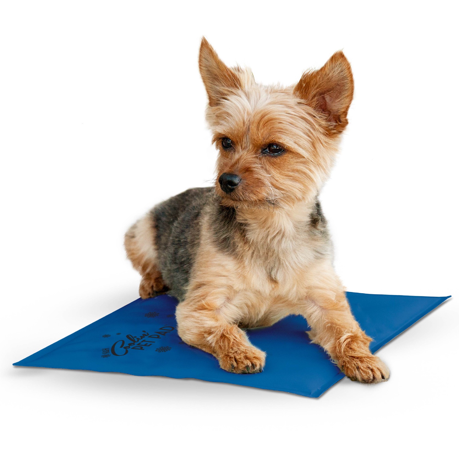 slide 1 of 9, K & H K&H Pet Products Coolin' Pet Pad Blue Small 11 X 15 Inches (4C FFP), 11 in
