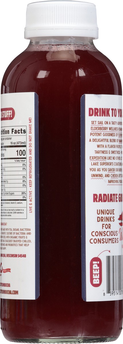 slide 7 of 14, Island City Kombucha Elderberry Wellness Kombucha 16 fl oz, 16 fl oz