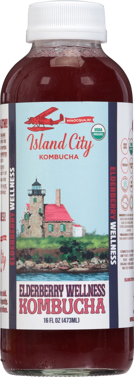 slide 11 of 14, Island City Kombucha Elderberry Wellness Kombucha 16 fl oz, 16 fl oz