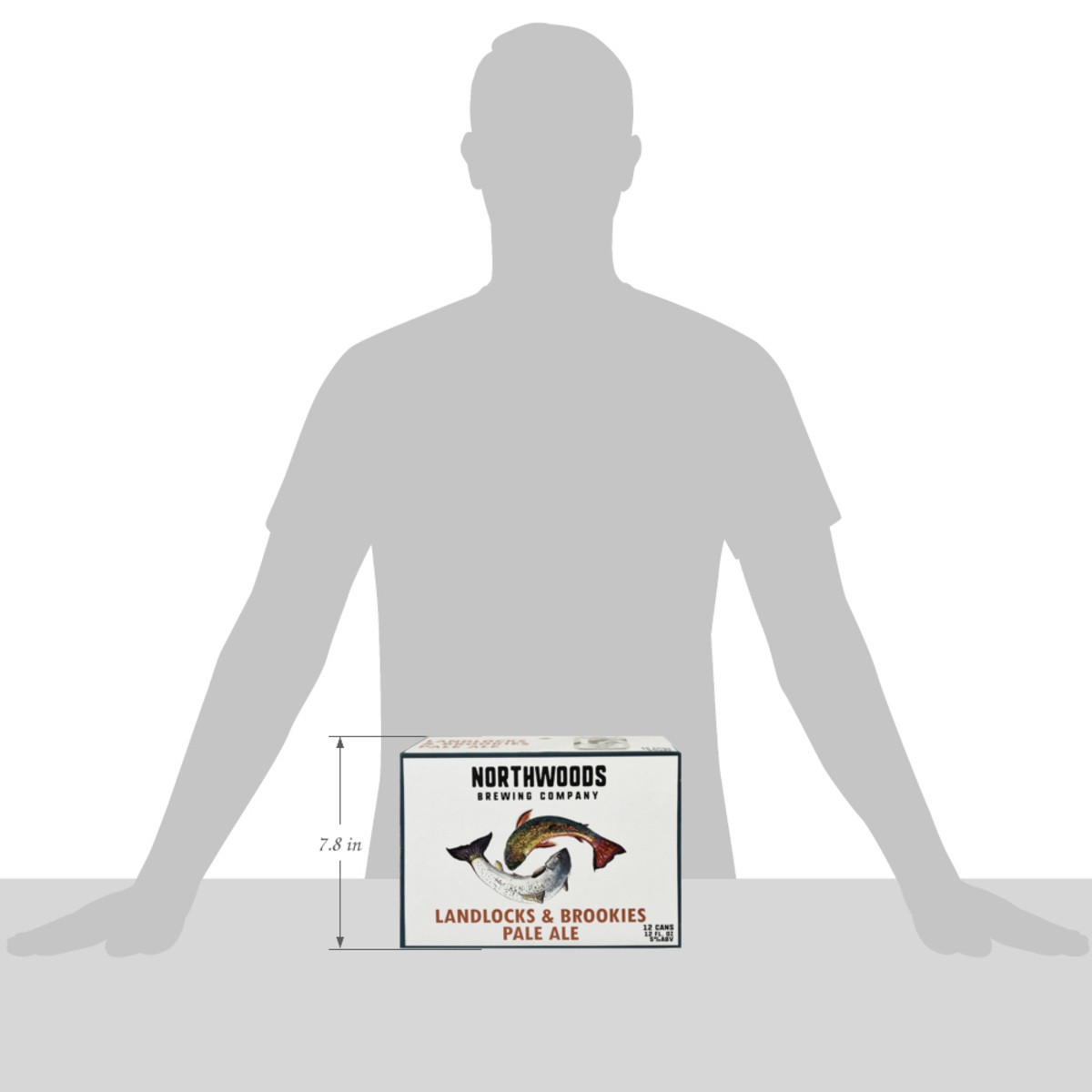 slide 2 of 12, Northwoods Brewing Company Landlocks & Brookies Pale Ale Beer 12 - 12 fl oz Cans, 12 ct