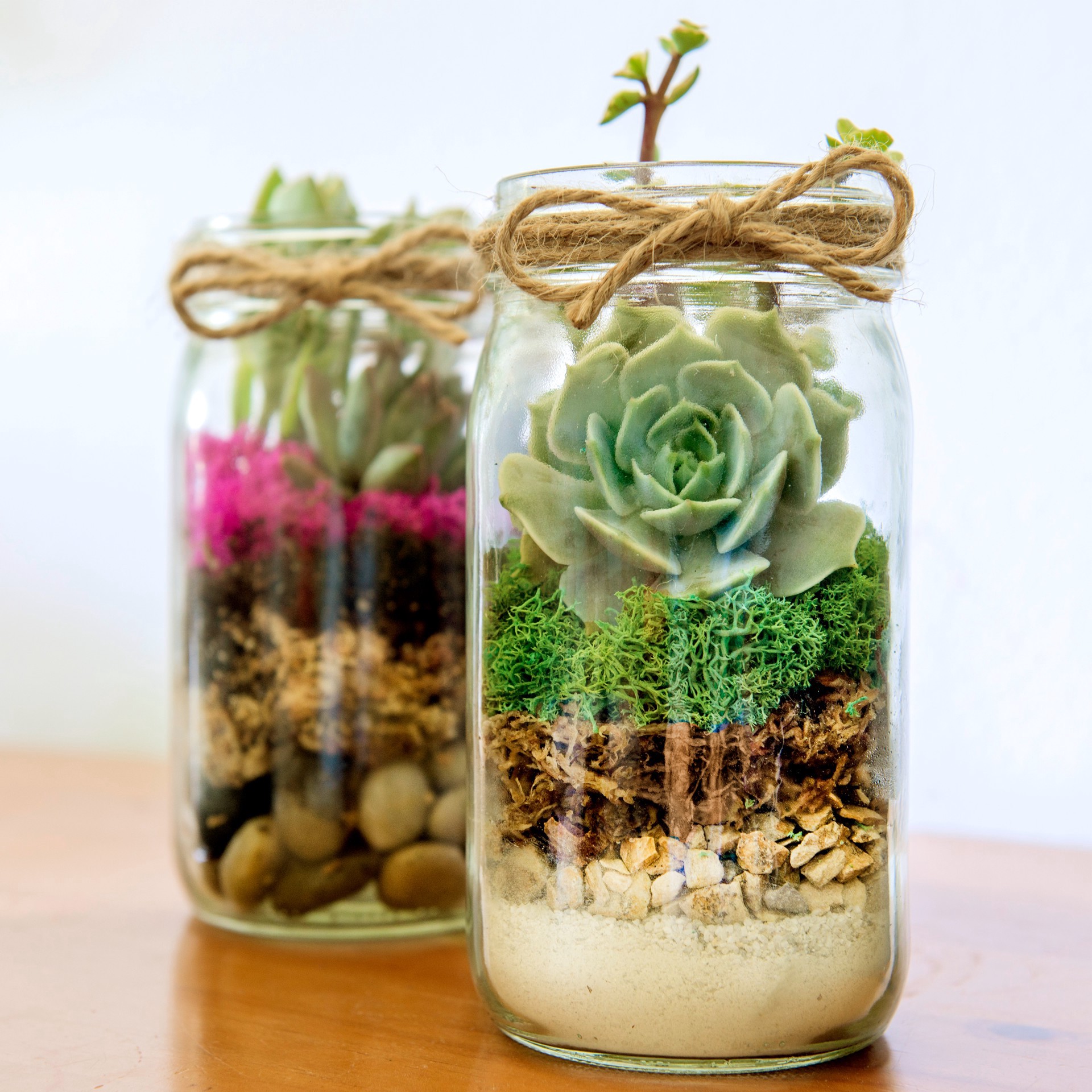 slide 7 of 7, Supermoss Preserved Reindeer Moss, Forest, 0.13 lb